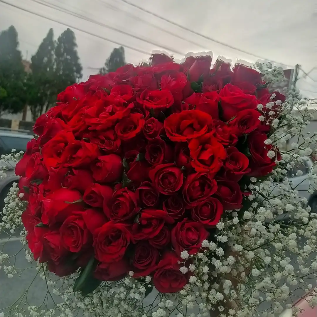 Grande buquê de rosas vermelhas — publicação original da Flor do Campo