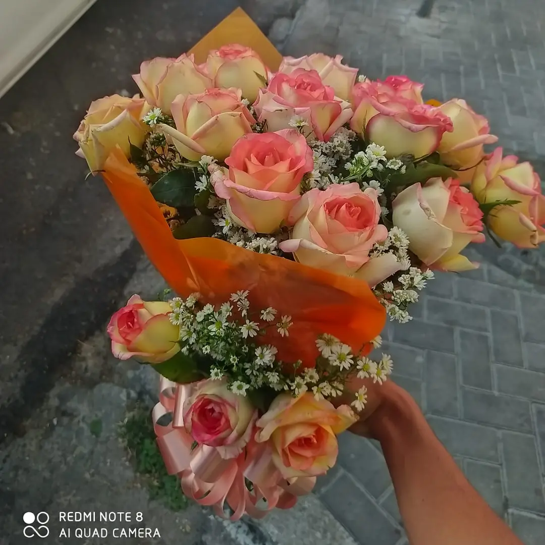 Rosas bicolores — publicação original da Flor do Campo